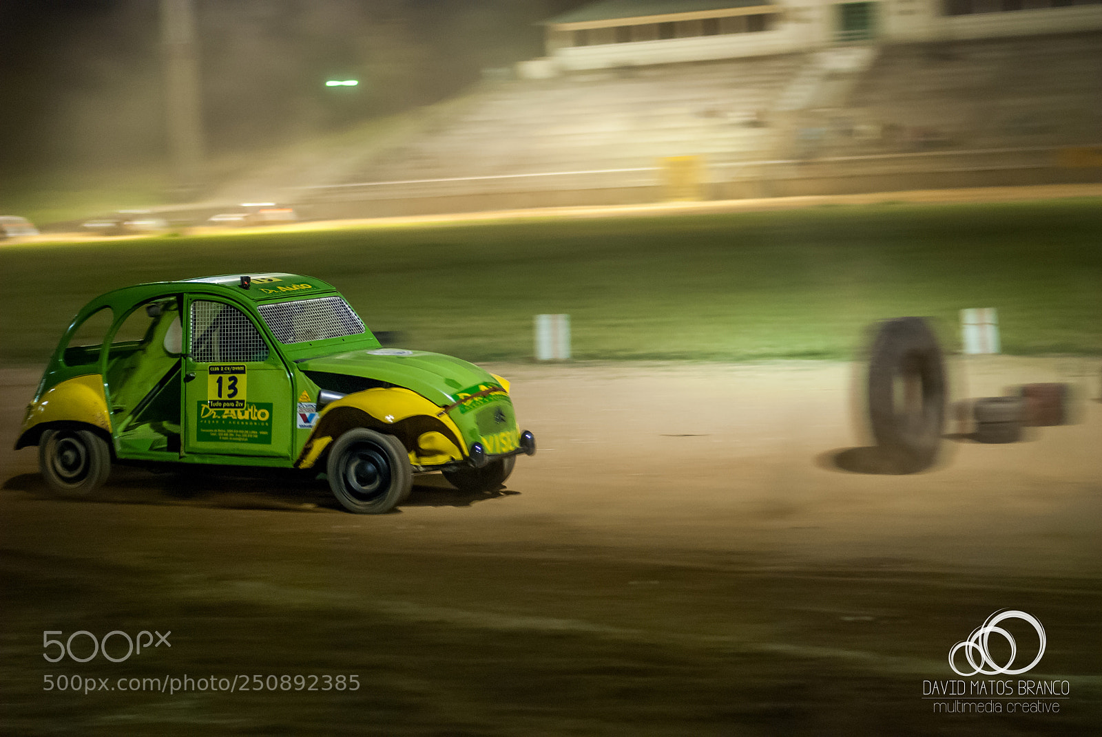 Nikon D80 sample photo. Green and yellow classic photography