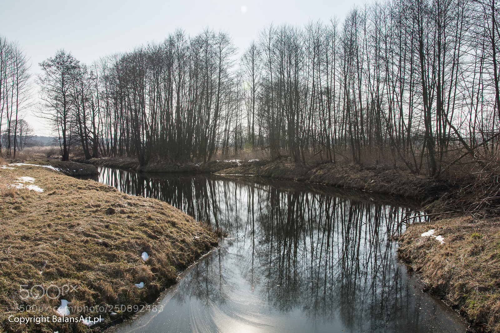 Nikon D7100 sample photo. Early spring photography