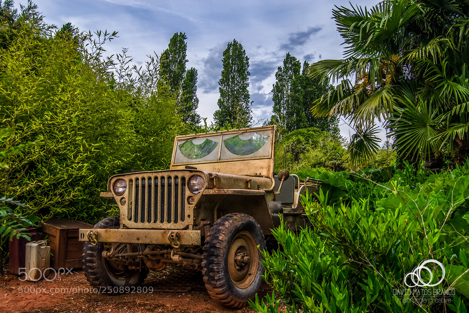 Nikon D3100 sample photo. Indiana jones photography