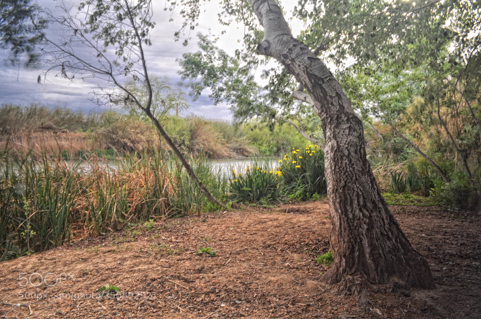 Nikon D5000 sample photo. El bosquet photography