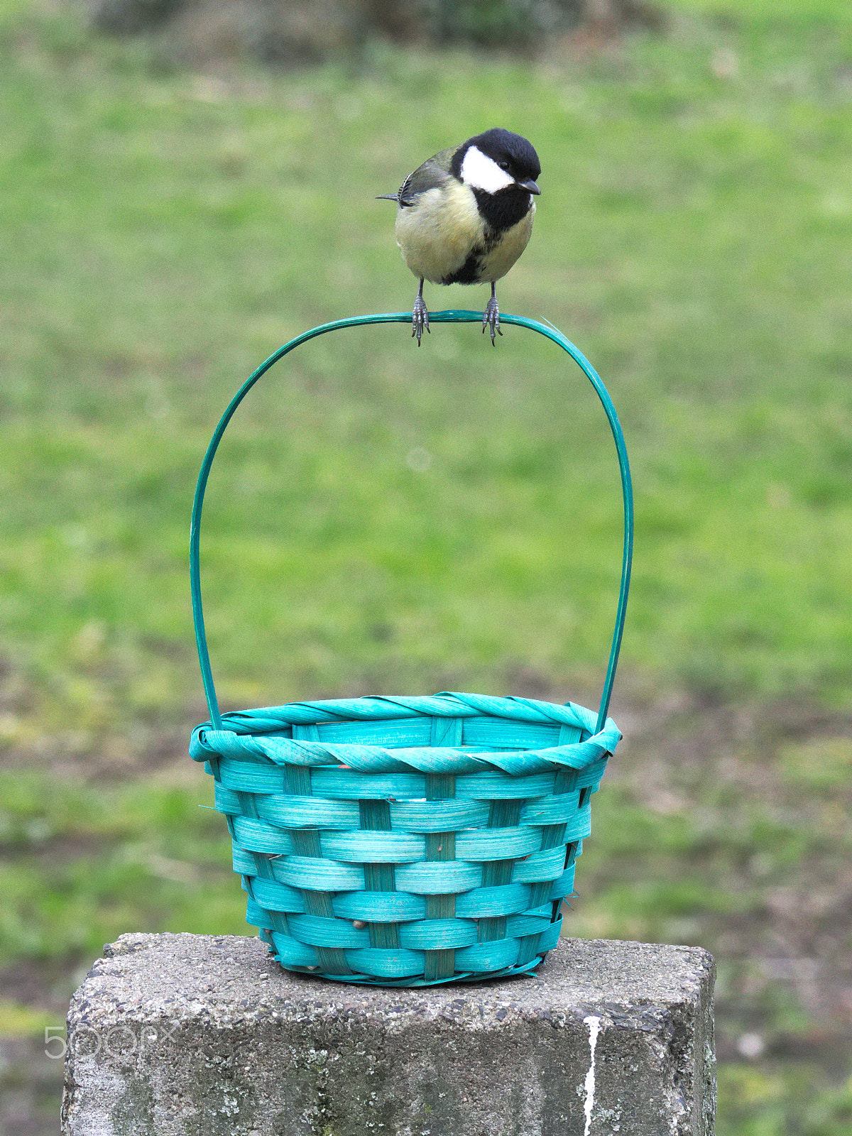 Canon EOS M10 sample photo. No titel photography