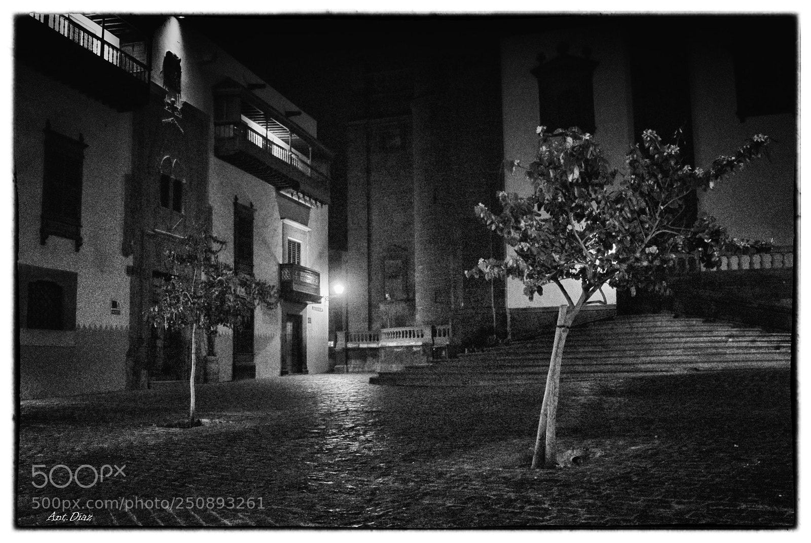 Nikon 1 V1 sample photo. Las palmas de gran photography