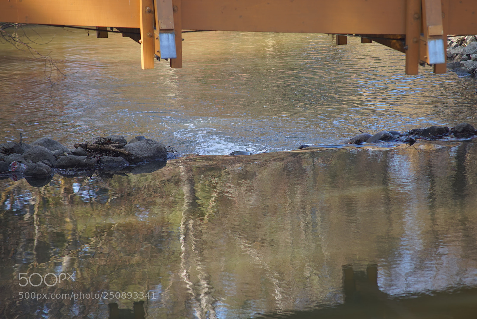 Sony a7R sample photo. Dsc photography
