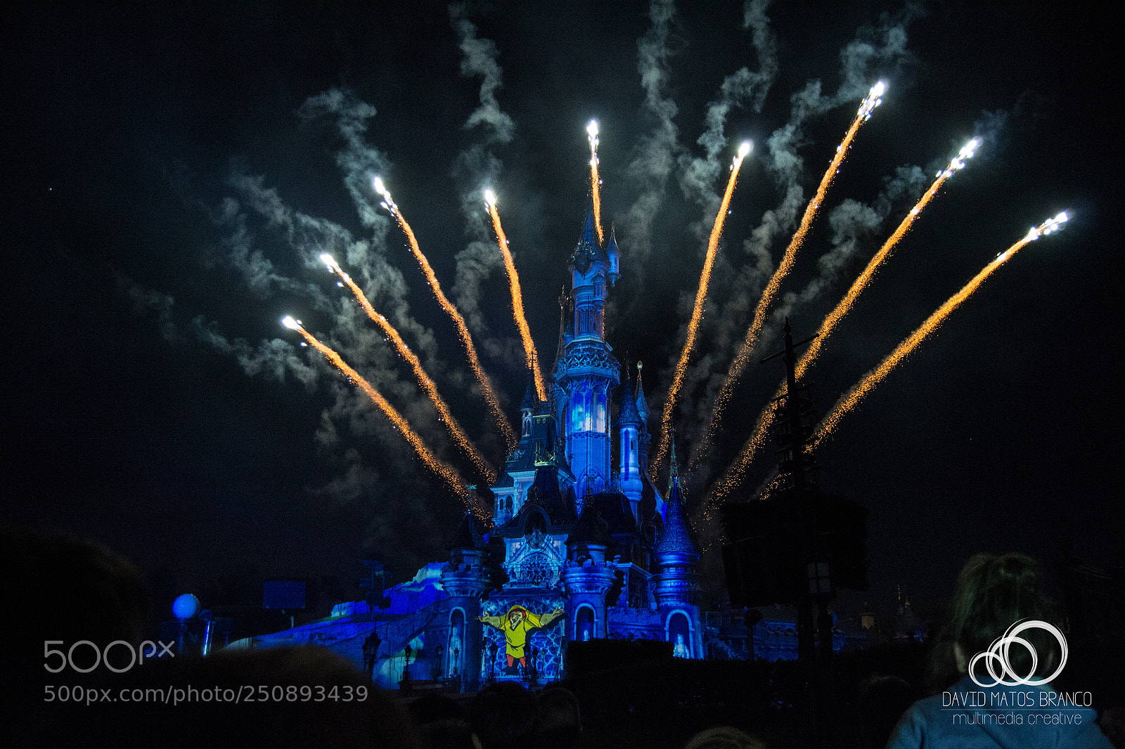 Nikon D3100 sample photo. Disney dreams photography