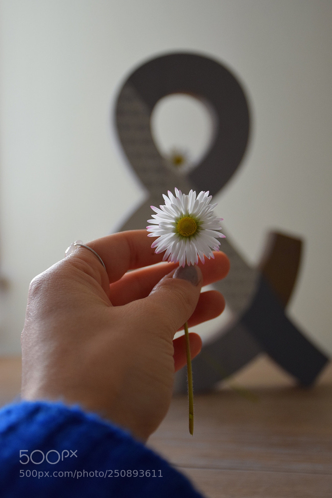 Nikon D5300 sample photo. Spring  photography