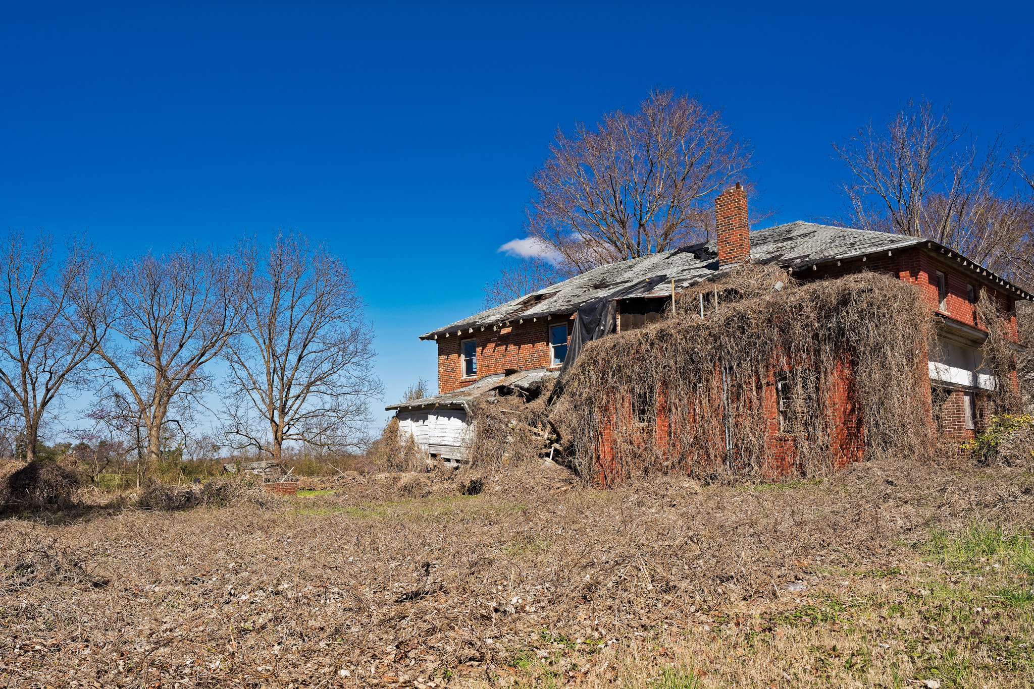 ZEISS Batis 25mm F2 sample photo. Whitsettnc dxo44 photography