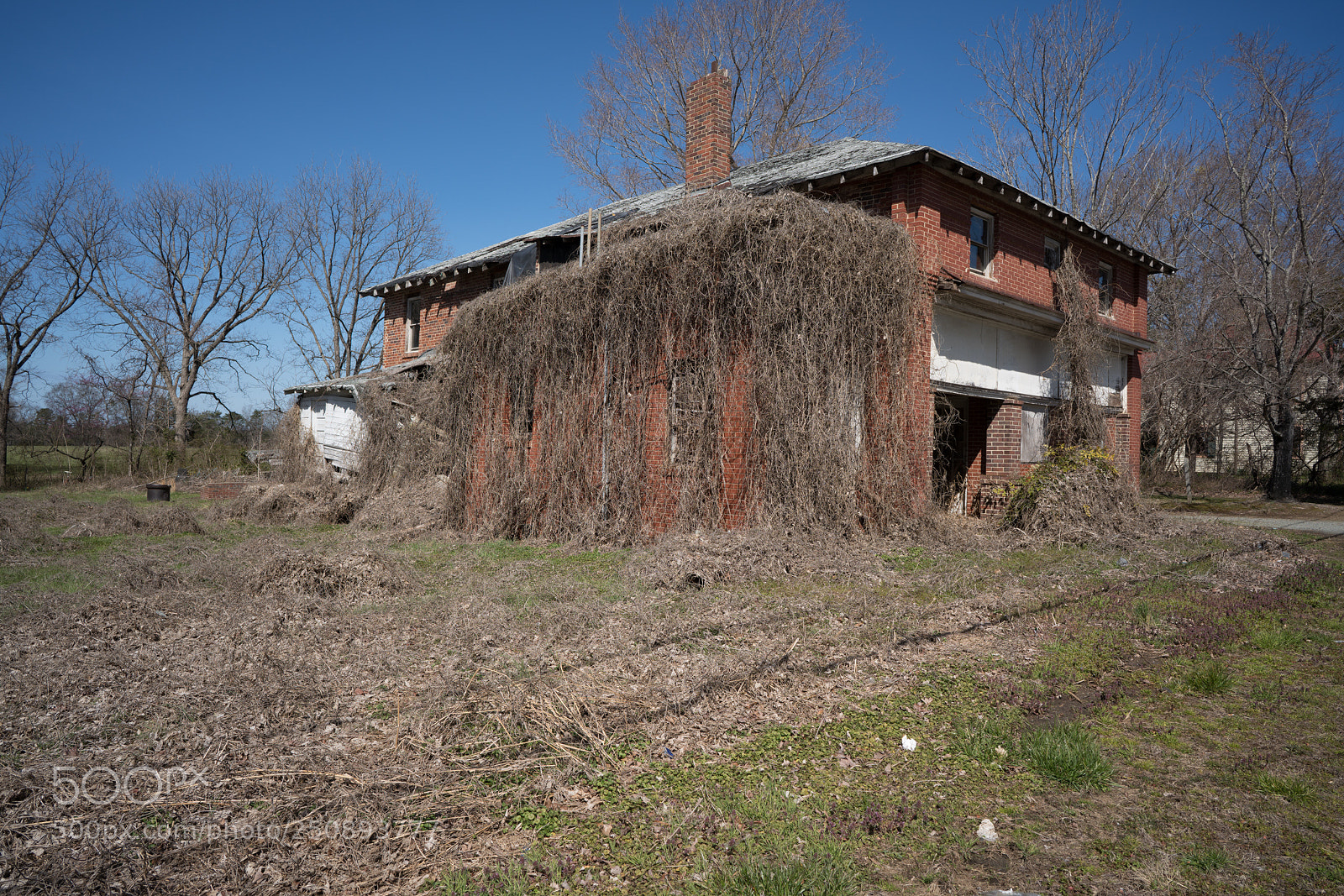 Sony a7R III sample photo. Whitsettnc28 photography