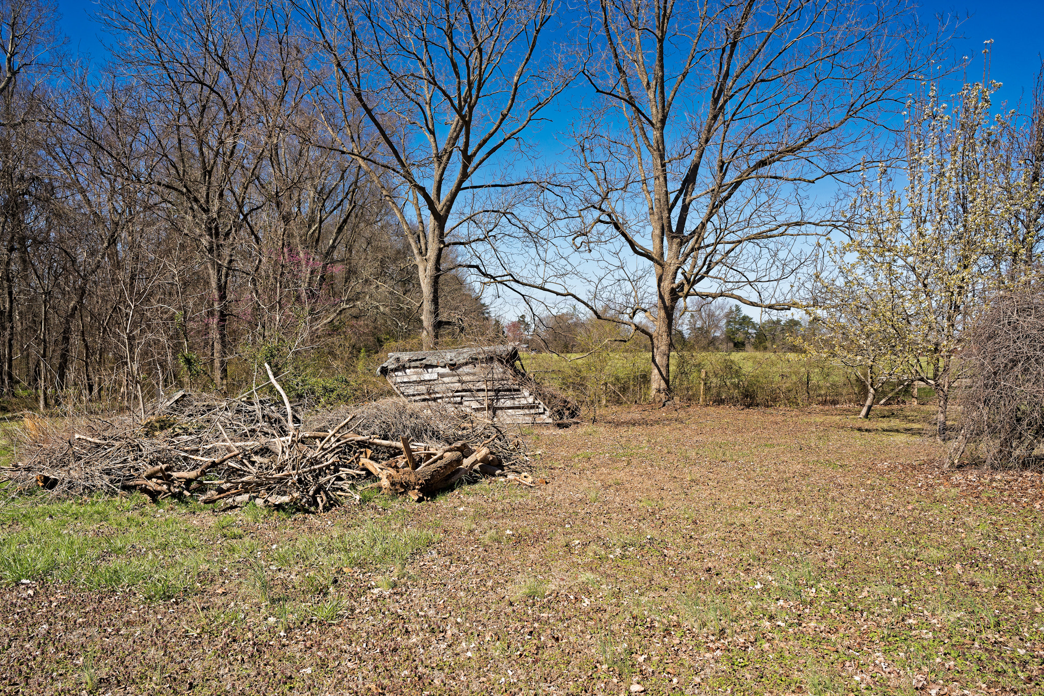 Sony a7R III + ZEISS Batis 25mm F2 sample photo. Whitsettnc dxo27 photography