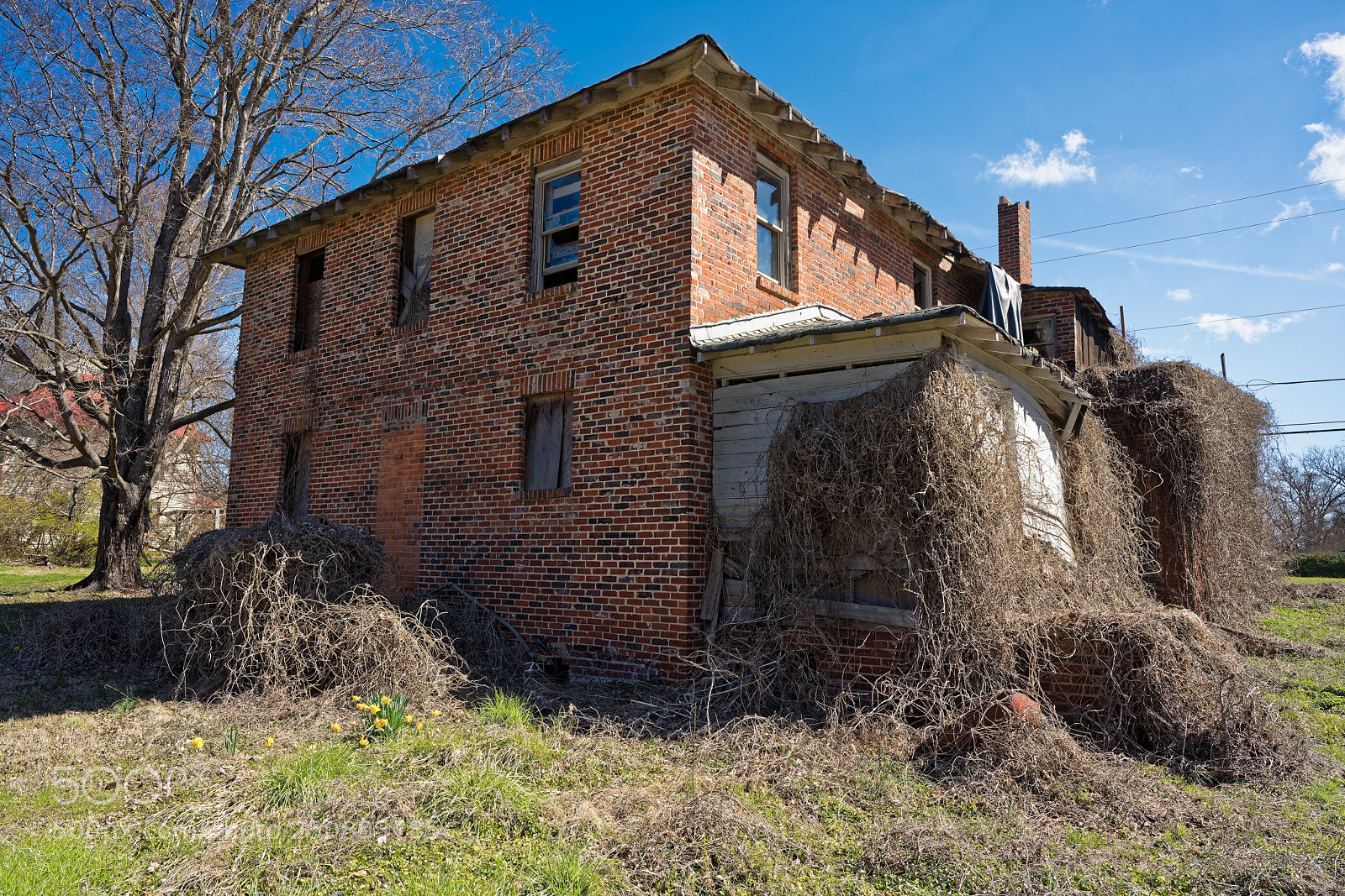 Sony a7R III sample photo. Whitsettnc dxo25 photography