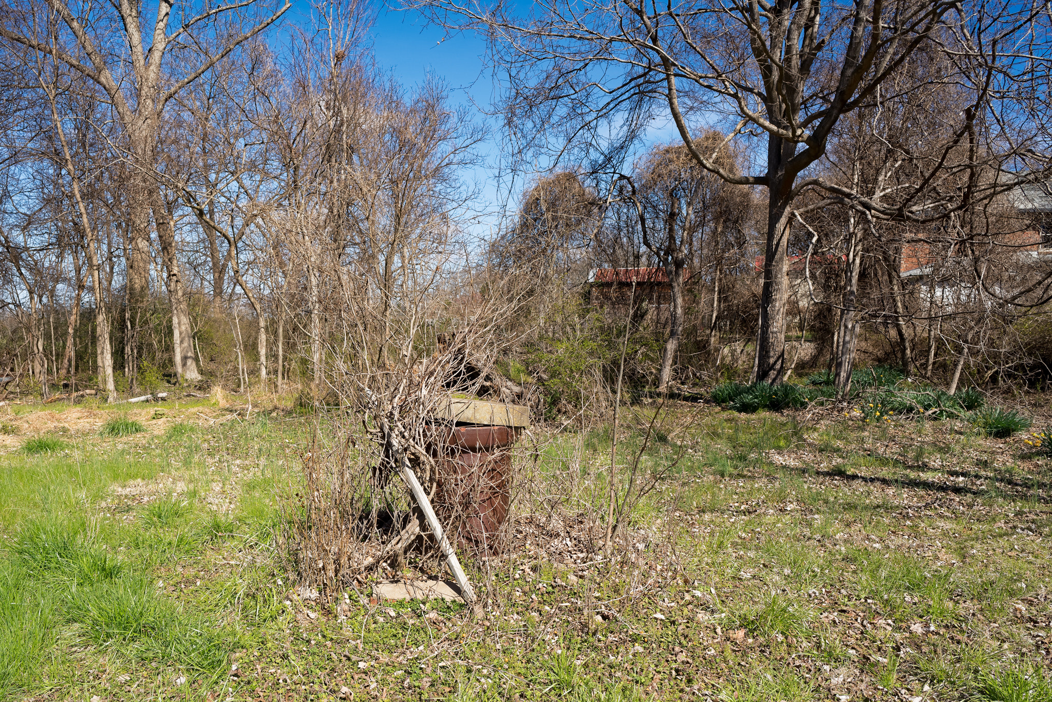 Sony a7R III + ZEISS Batis 25mm F2 sample photo. Whitsettnc dxo24 photography