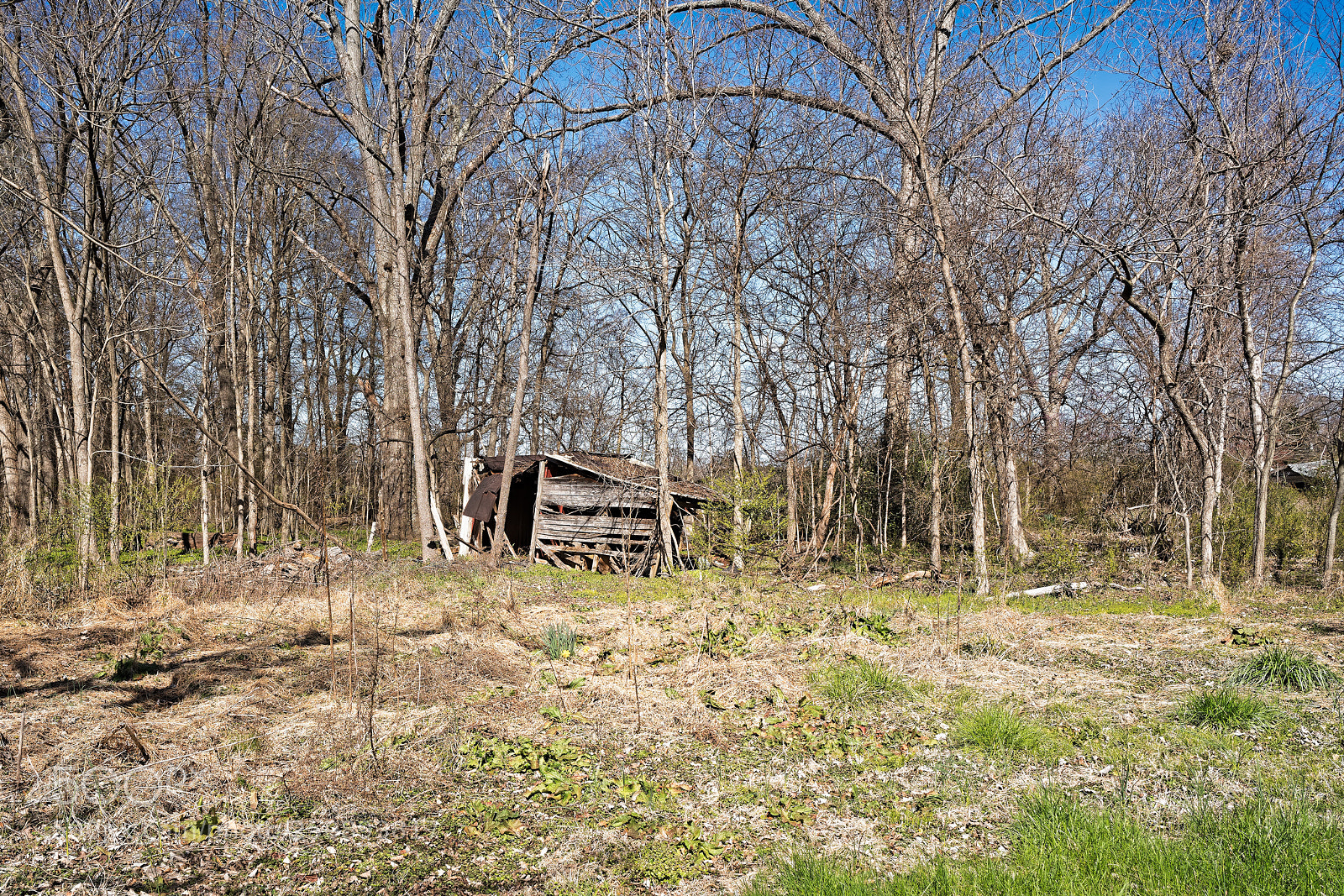 Sony a7R III sample photo. Whitsettnc dxo22 photography