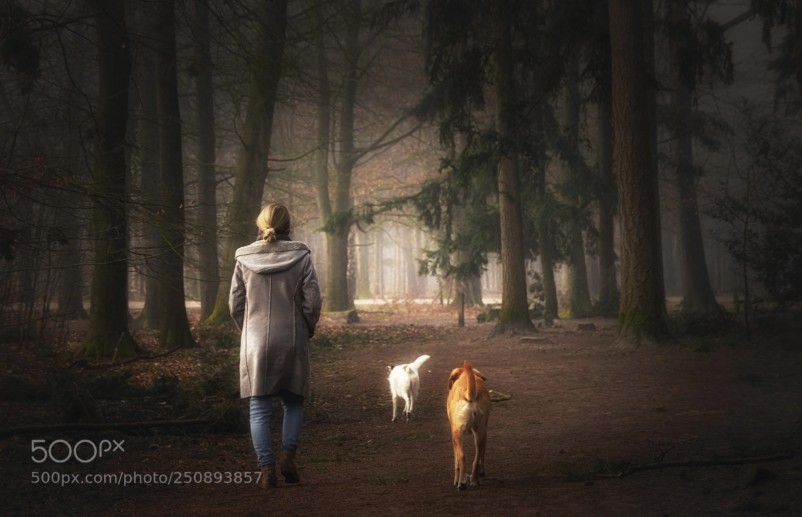 Sony a7R sample photo. Susanne on her daily photography