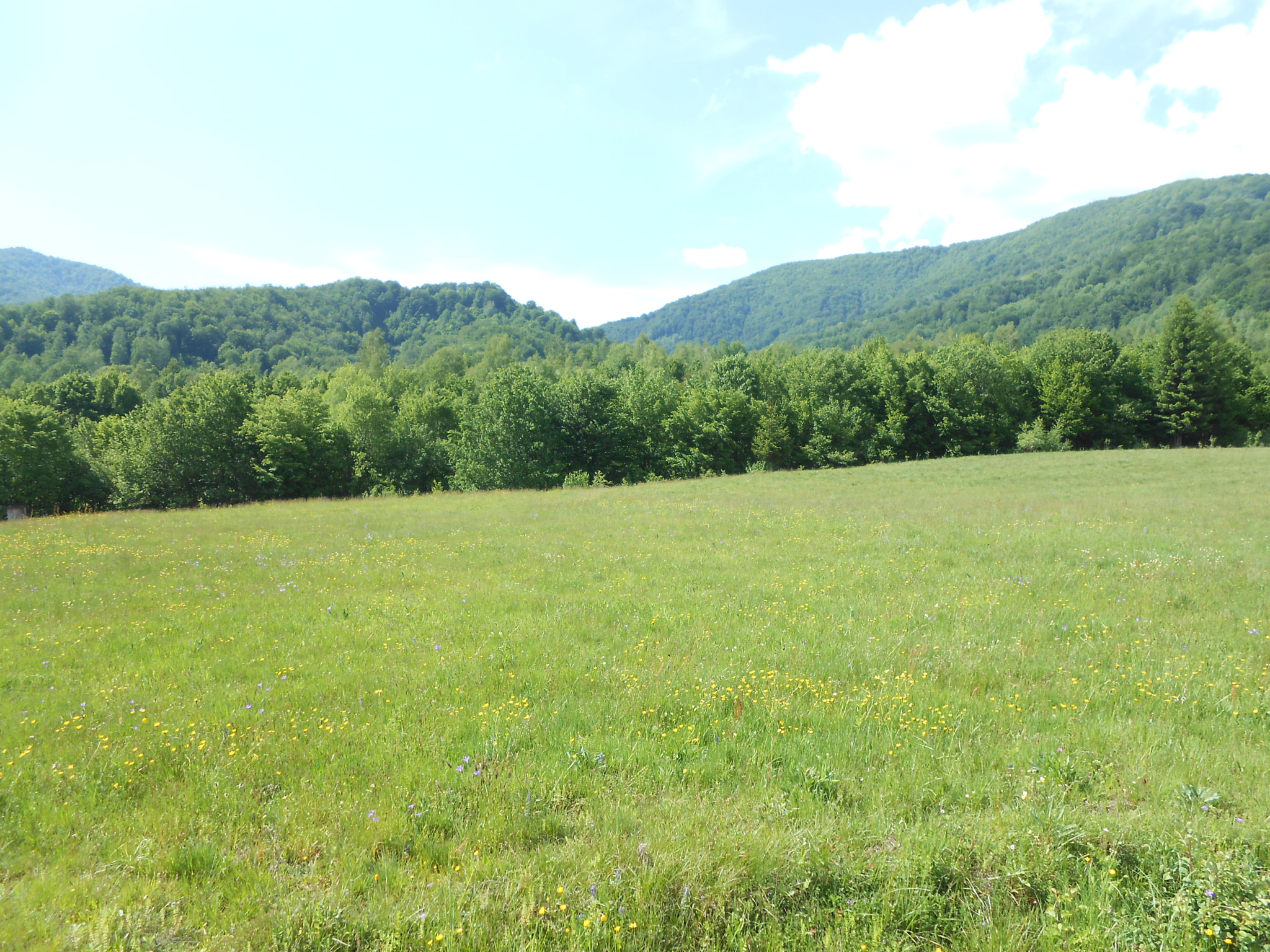 Nikon COOLPIX S2700 sample photo. Sunlit meadow photography
