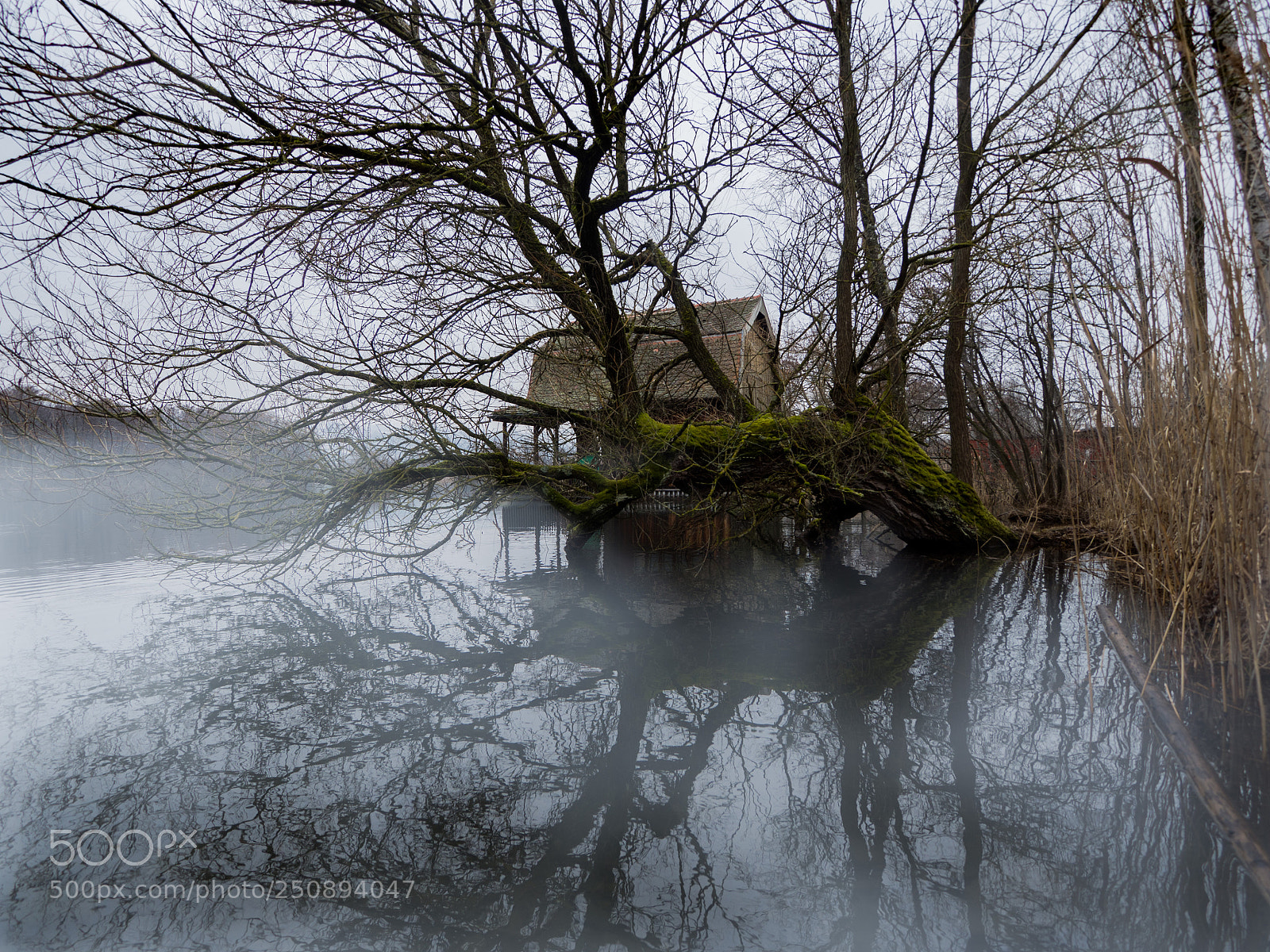 Olympus OM-D E-M10 II sample photo. Lake house photography