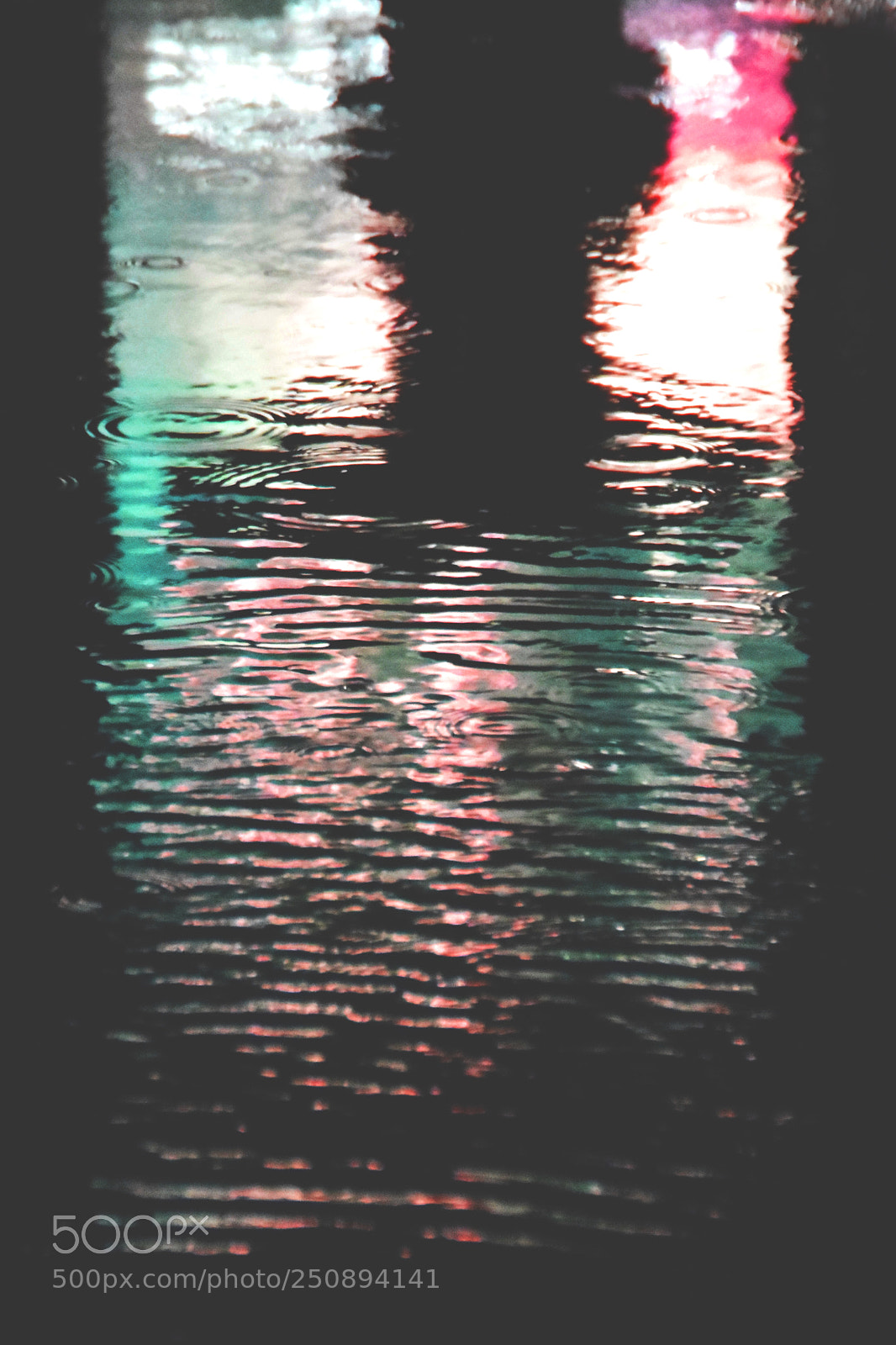 Nikon D5300 sample photo. Reflections photography