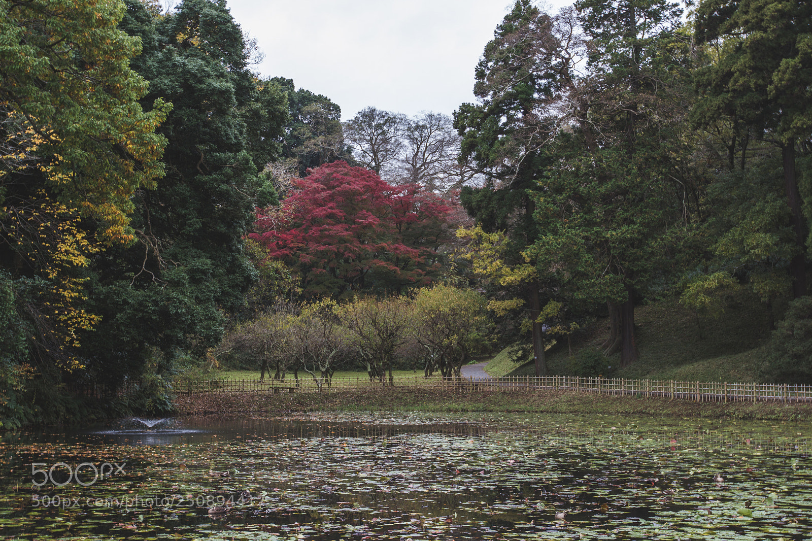 Canon EOS 600D (Rebel EOS T3i / EOS Kiss X5) sample photo. Fall photography