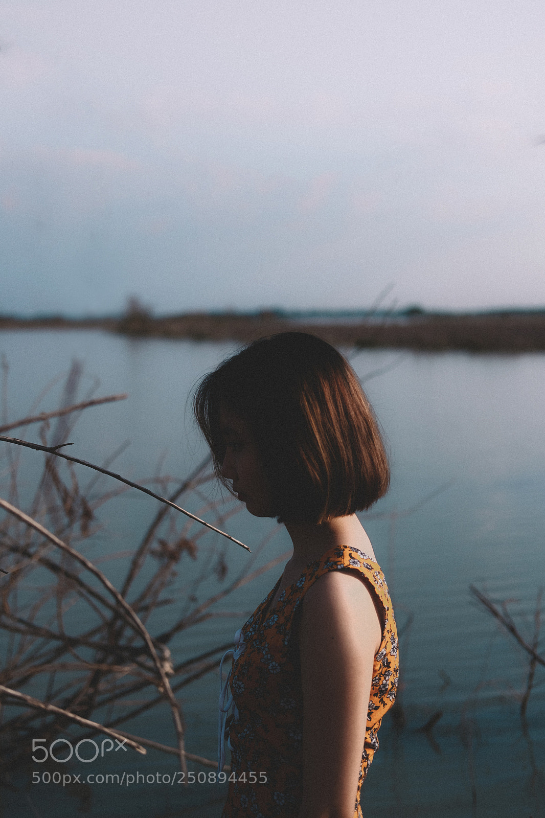 Fujifilm X-T20 sample photo. Untitled photography