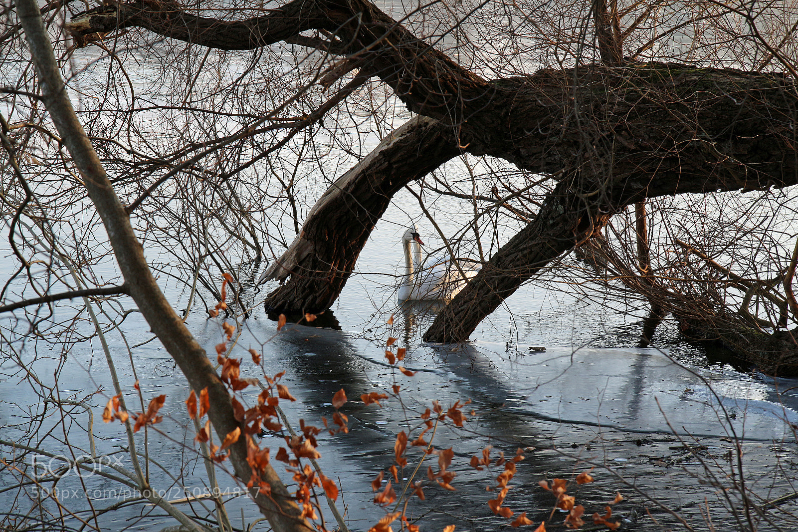 Canon EOS 700D (EOS Rebel T5i / EOS Kiss X7i) sample photo. Untitled photography