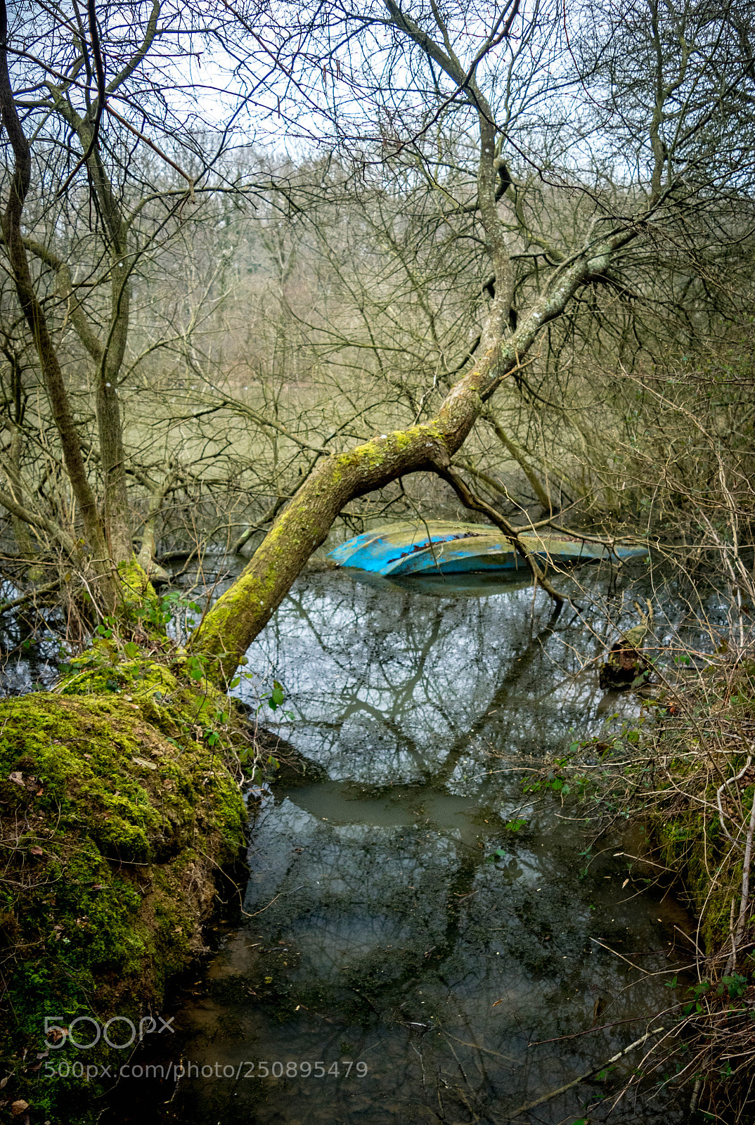 Nikon D3300 sample photo. Shipwreaked photography