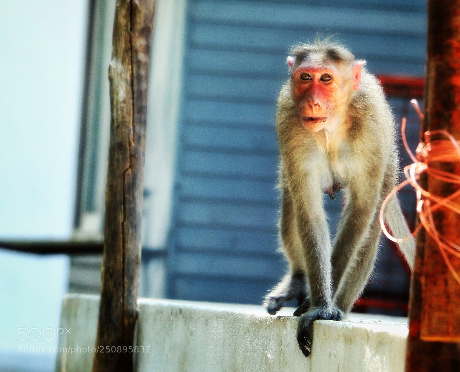 Canon EOS 70D sample photo. Untitled photography