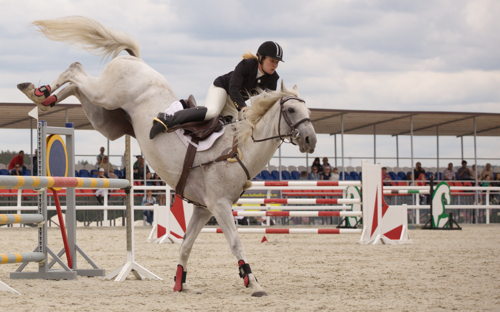 Canon EF 70-200mm F4L USM sample photo. Understanding the inevitability photography
