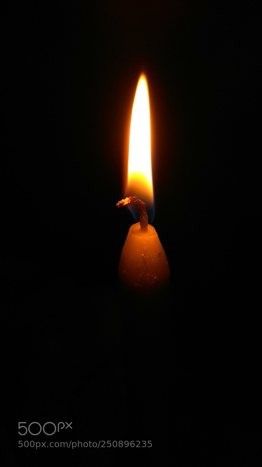 Xiaomi Redmi Note 4 sample photo. Untitled photography