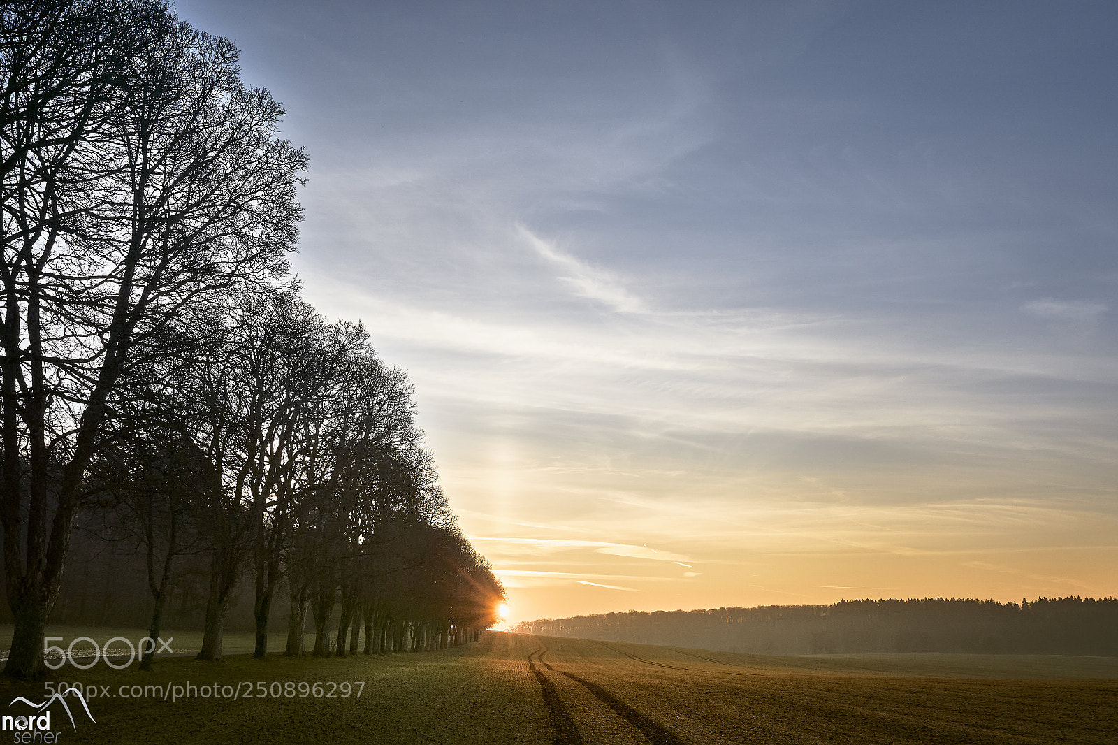 Sony ILCA-77M2 sample photo. Der sonnenteppich photography