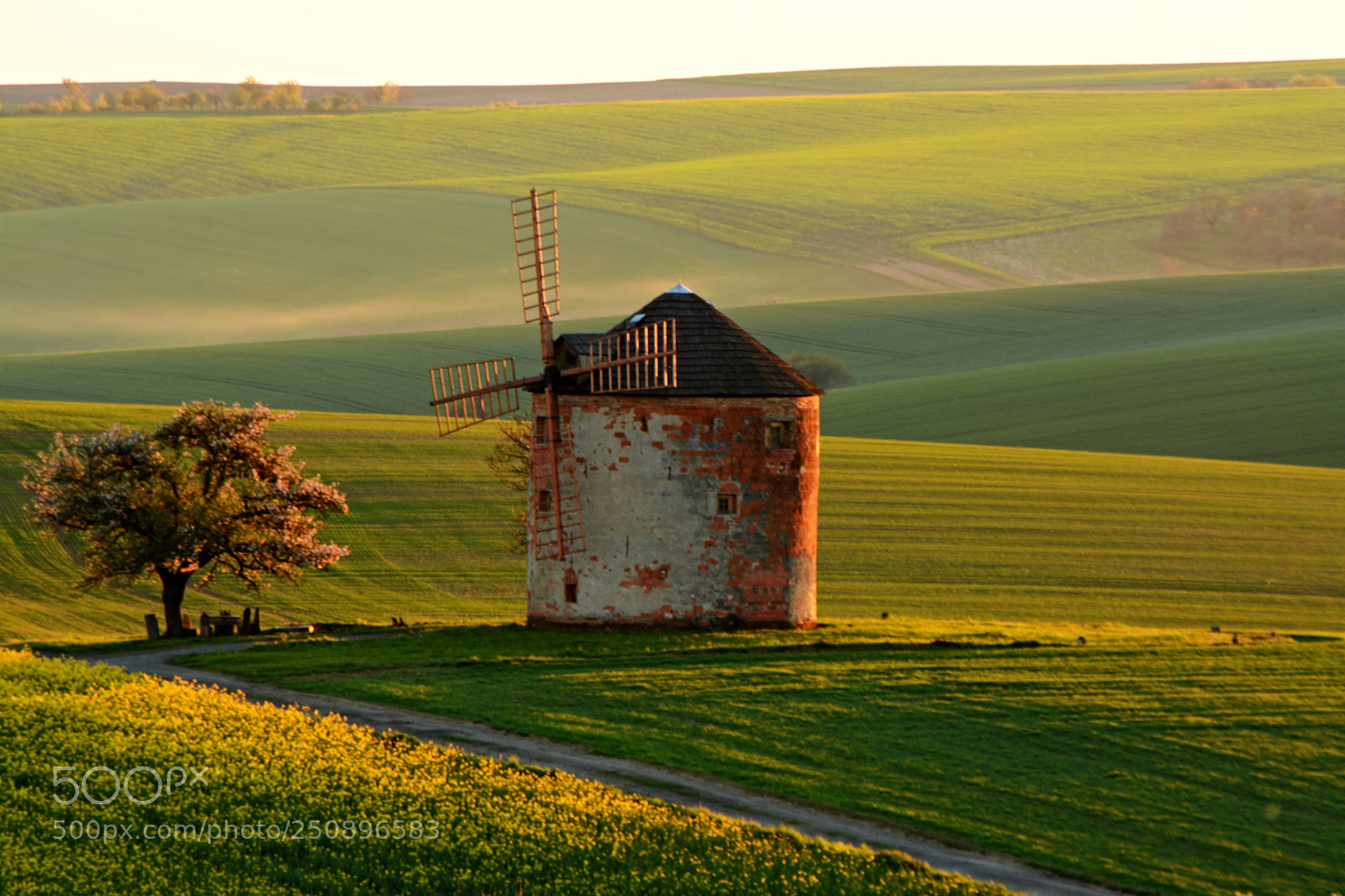 Nikon D7100 sample photo. Spring windmill photography