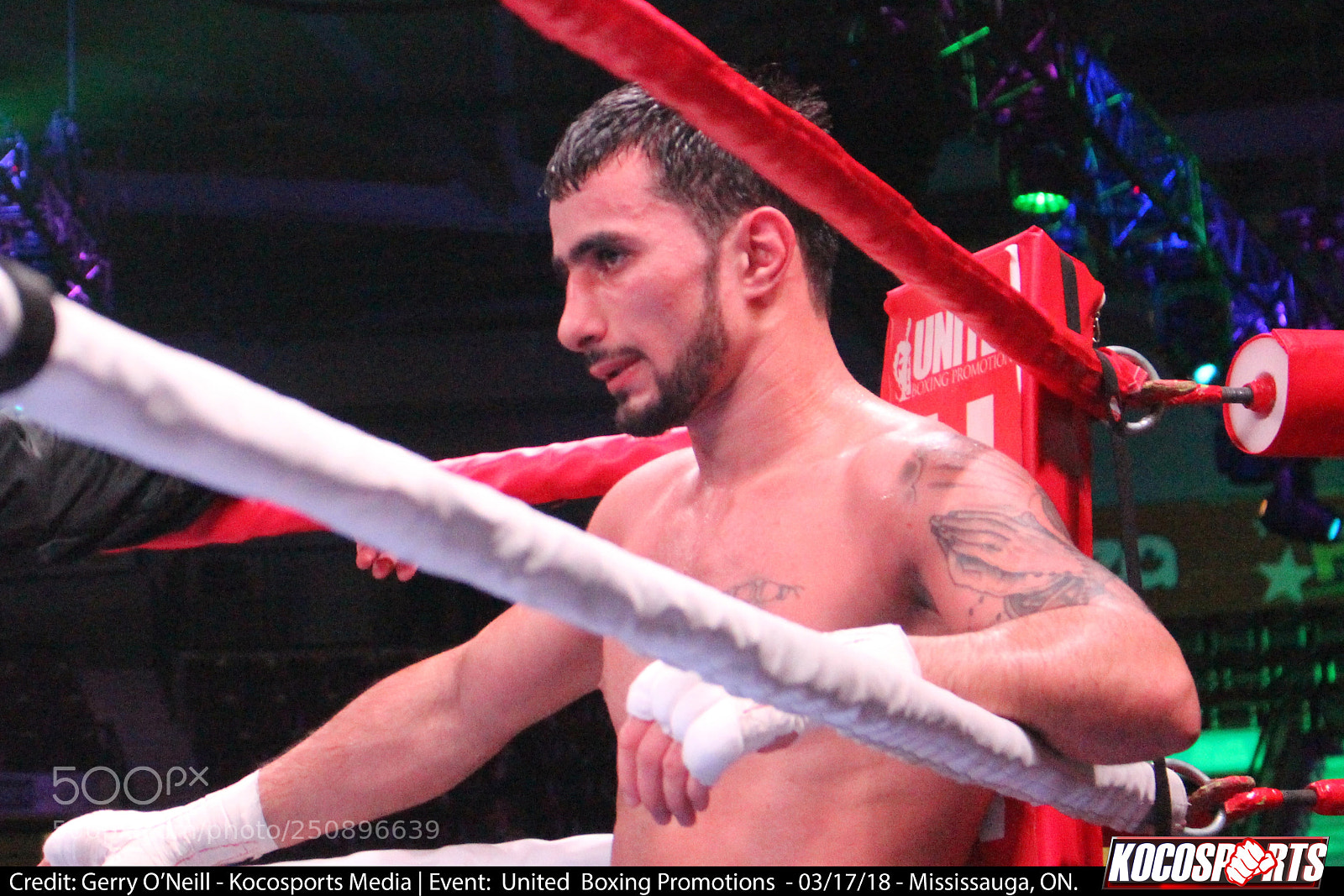 Canon EOS 700D (EOS Rebel T5i / EOS Kiss X7i) sample photo. Andranik grigoryan vs. sergio photography