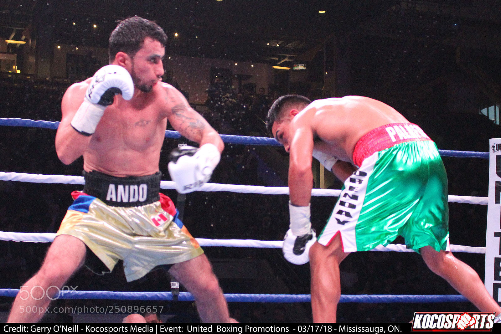 Canon EOS 700D (EOS Rebel T5i / EOS Kiss X7i) sample photo. Andranik grigoryan vs. sergio photography