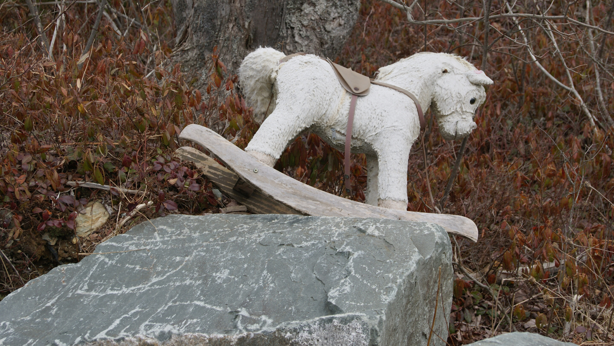 Sony Alpha DSLR-A330 sample photo. Abandoned photography