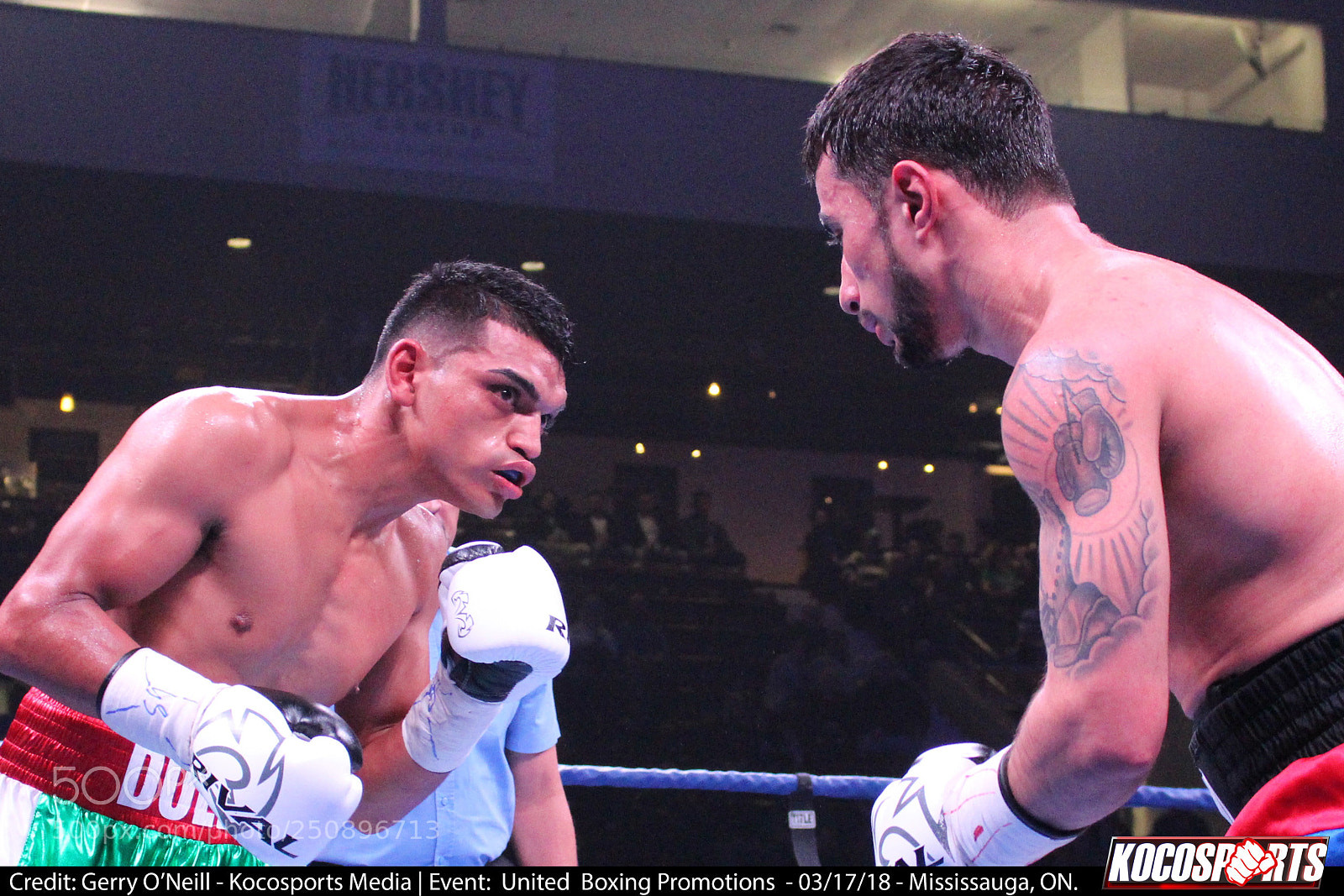 Canon EOS 700D (EOS Rebel T5i / EOS Kiss X7i) sample photo. Andranik grigoryan vs. sergio photography