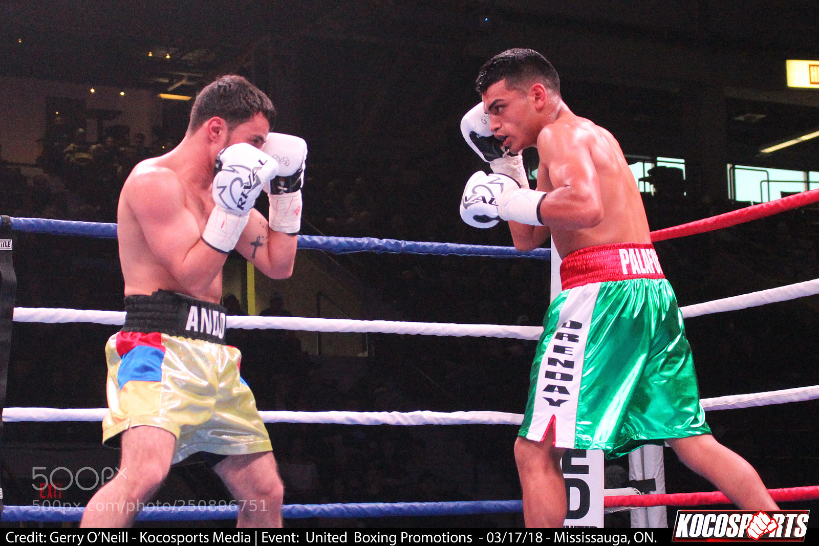 Canon EOS 700D (EOS Rebel T5i / EOS Kiss X7i) sample photo. Andranik grigoryan vs. sergio photography