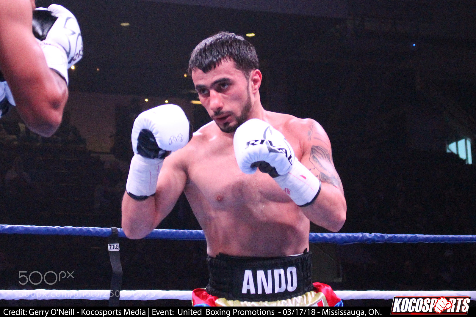 Canon EOS 700D (EOS Rebel T5i / EOS Kiss X7i) sample photo. Andranik grigoryan vs. sergio photography