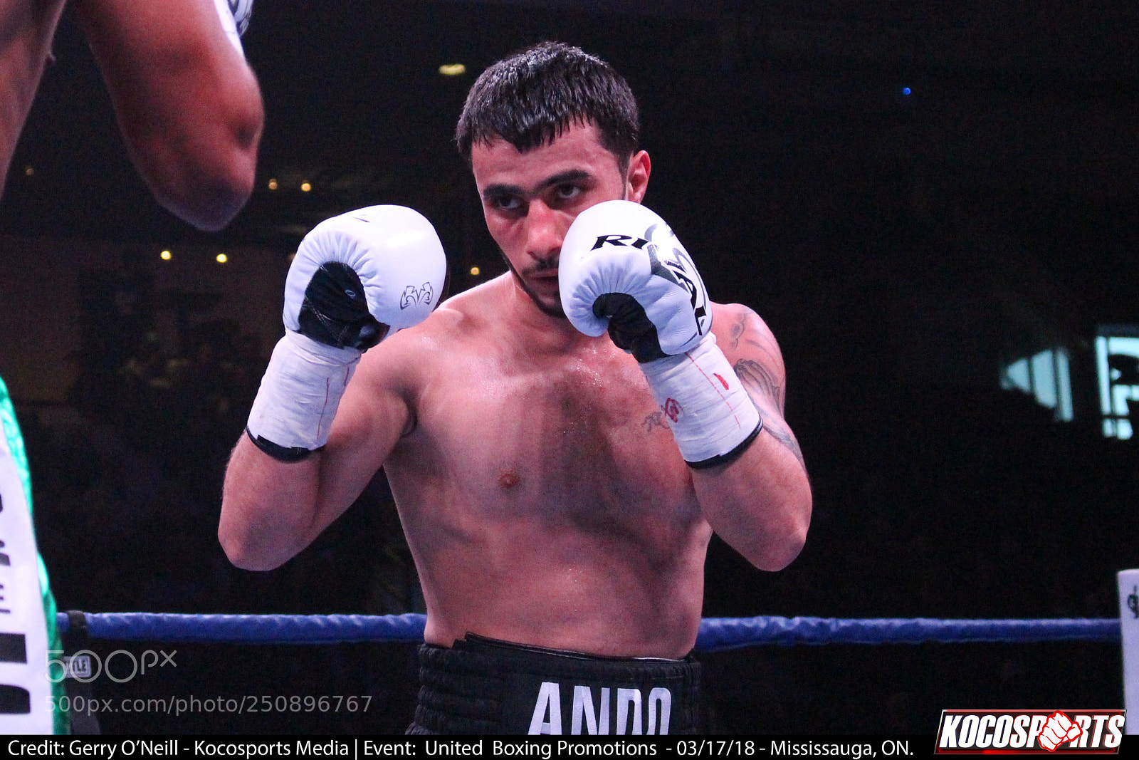 Canon EOS 700D (EOS Rebel T5i / EOS Kiss X7i) sample photo. Andranik grigoryan vs. sergio photography