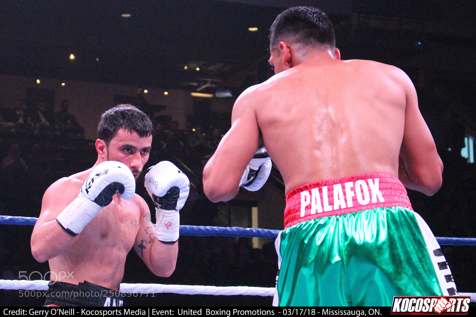 Canon EOS 700D (EOS Rebel T5i / EOS Kiss X7i) sample photo. Andranik grigoryan vs. sergio photography