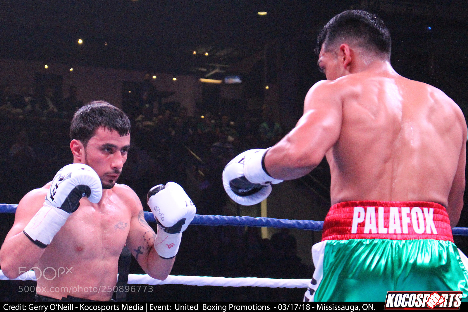 Canon EOS 700D (EOS Rebel T5i / EOS Kiss X7i) sample photo. Andranik grigoryan vs. sergio photography