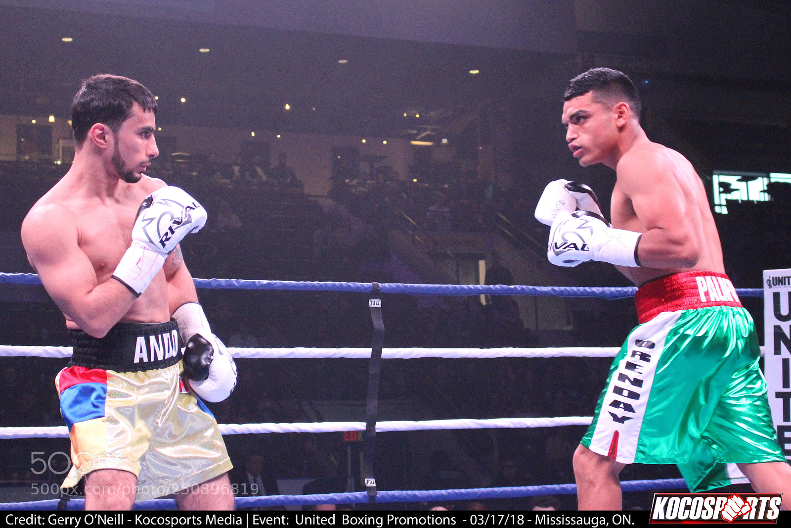 Canon EOS 700D (EOS Rebel T5i / EOS Kiss X7i) sample photo. Andranik grigoryan vs. sergio photography