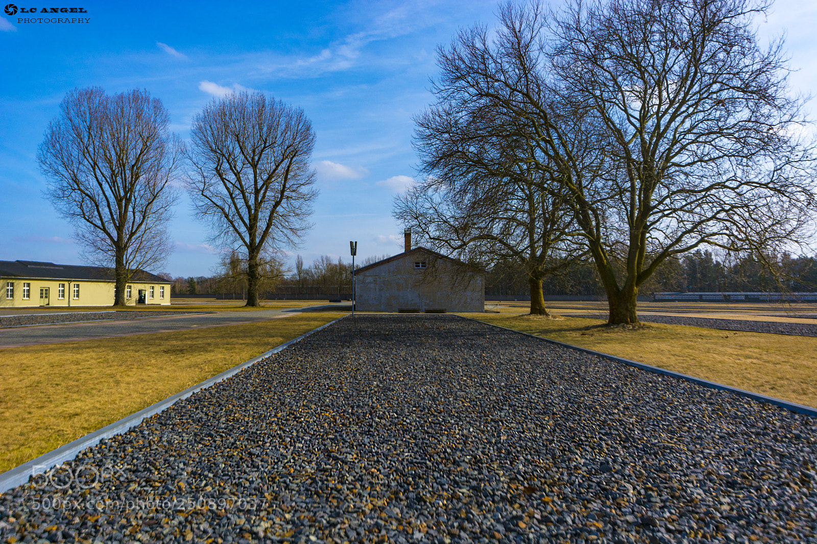 Nikon D7100 sample photo. Alc photography