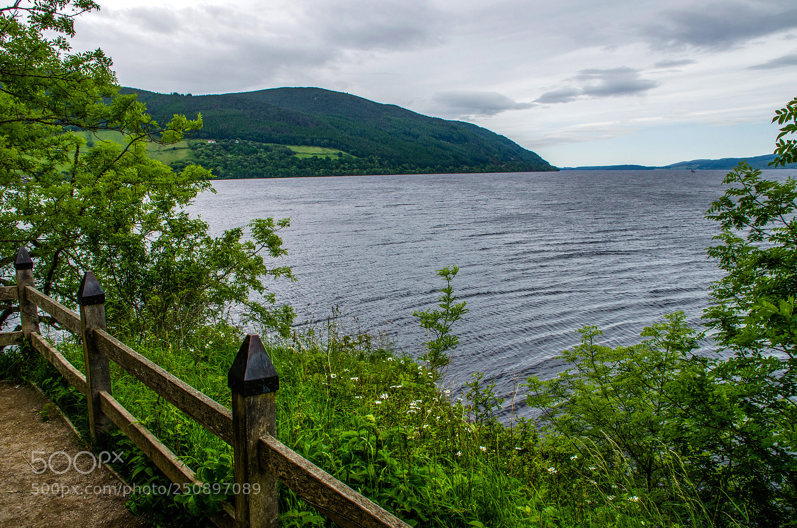 Nikon D7000 sample photo. Nessie photography