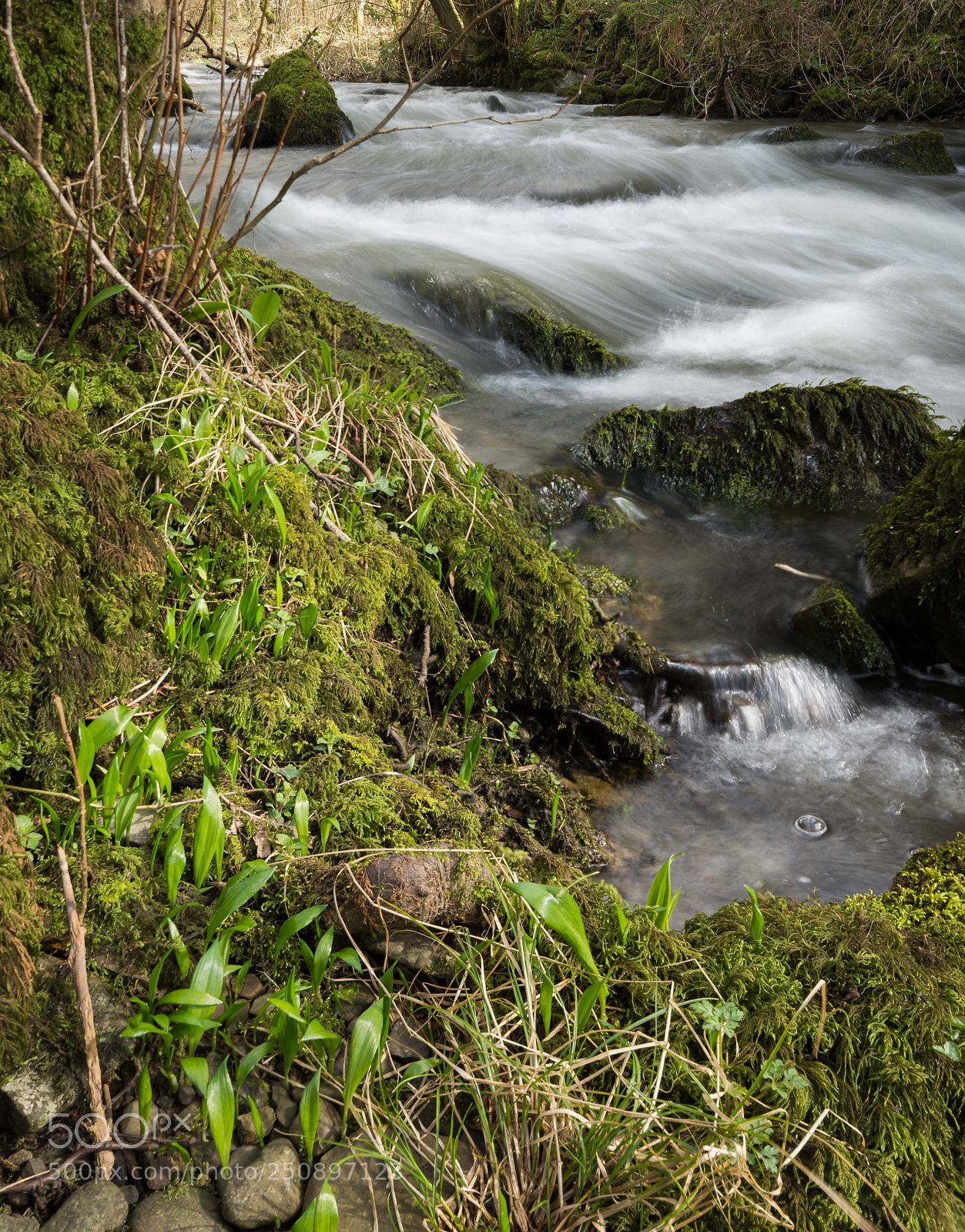 Nikon D7200 sample photo. Signs of spring photography