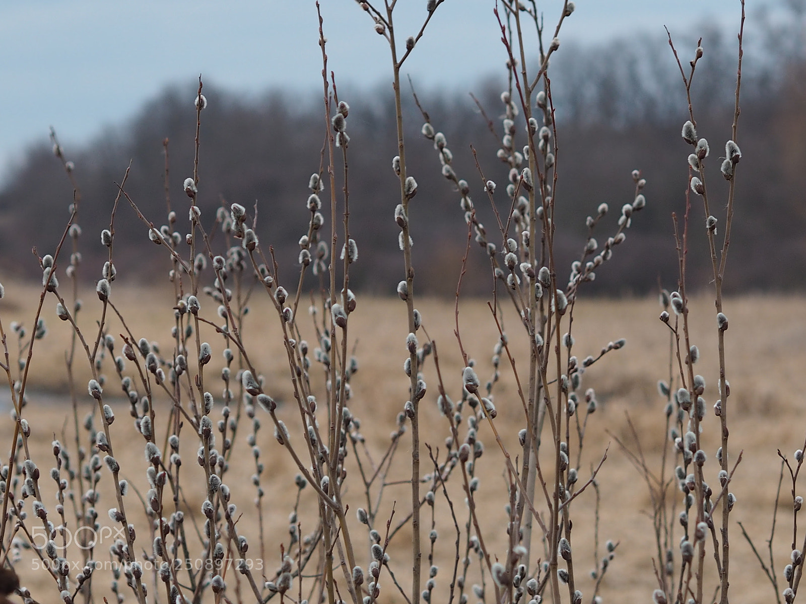 Olympus OM-D E-M10 sample photo. Ve k noc sa photography