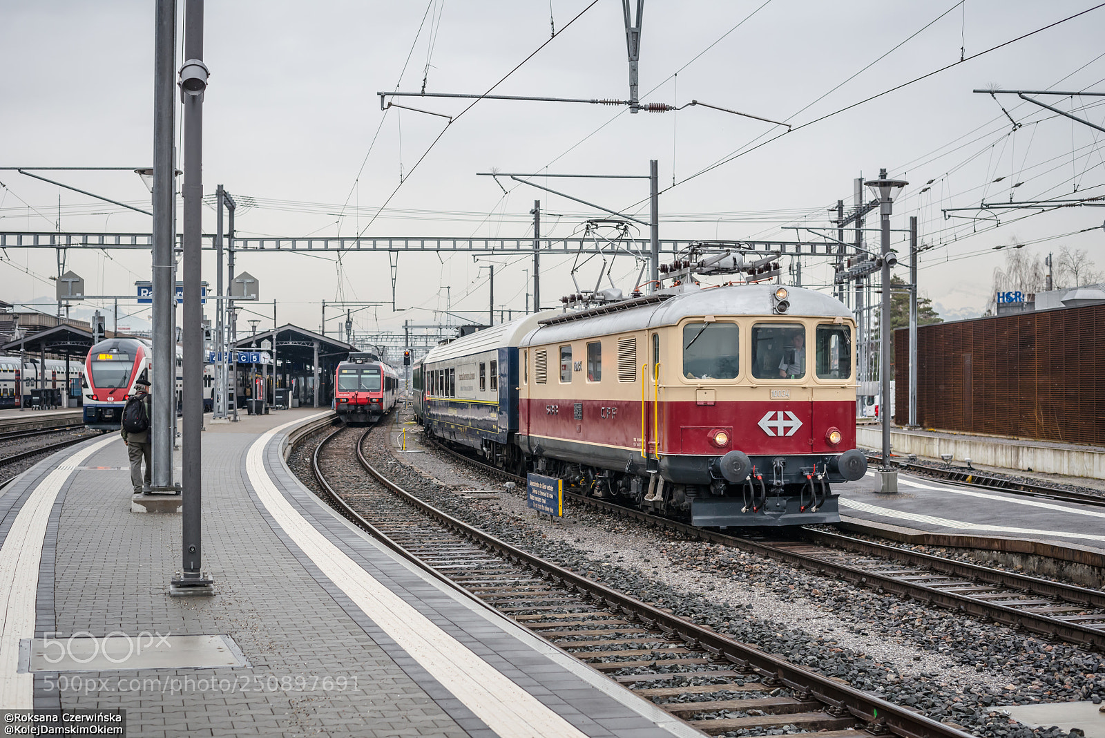 Nikon D800 sample photo. Re 4/4 i 10034 rapperswil (sg) photography