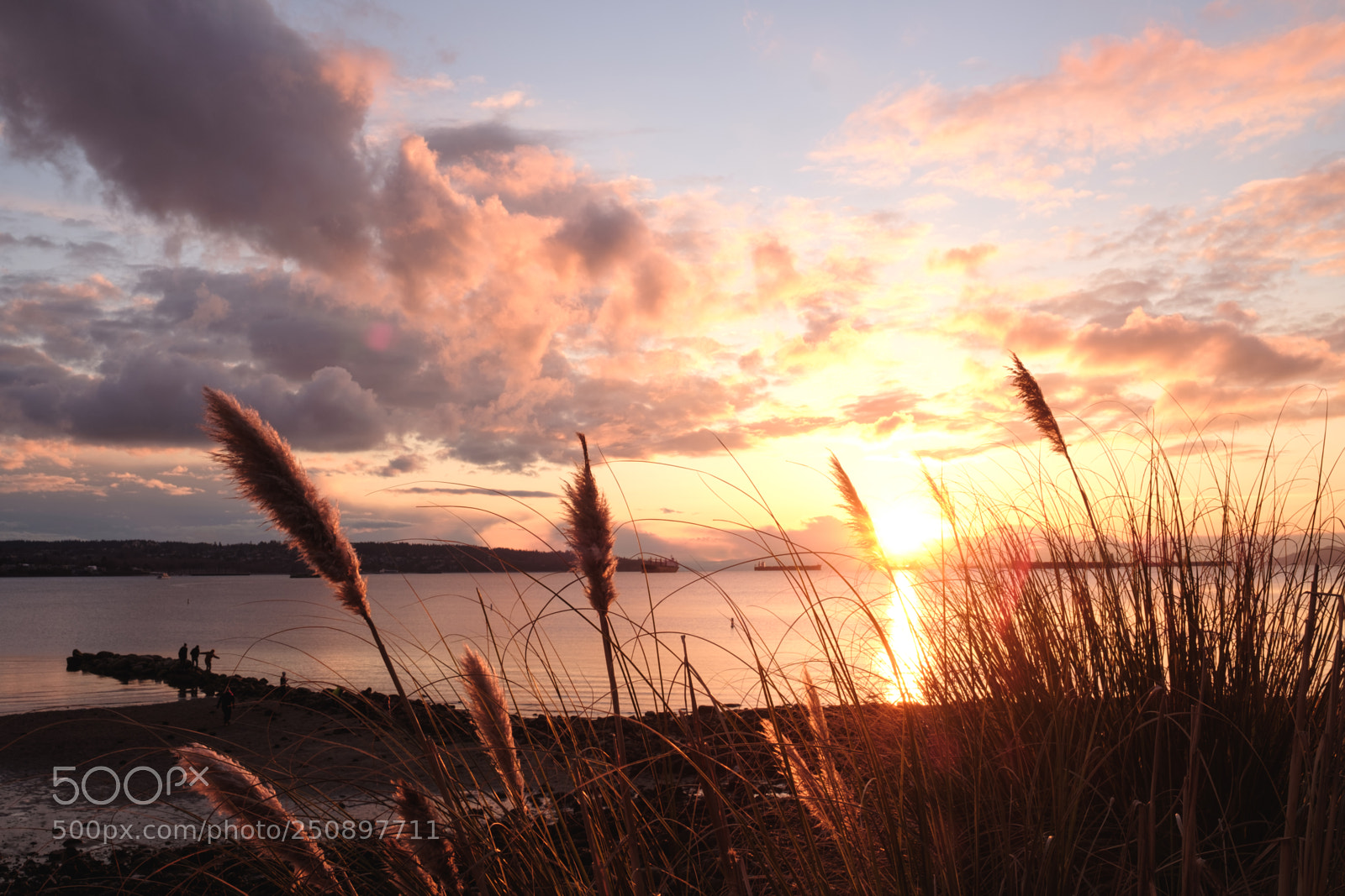 Fujifilm X-H1 sample photo. English bay beach, vancouver photography