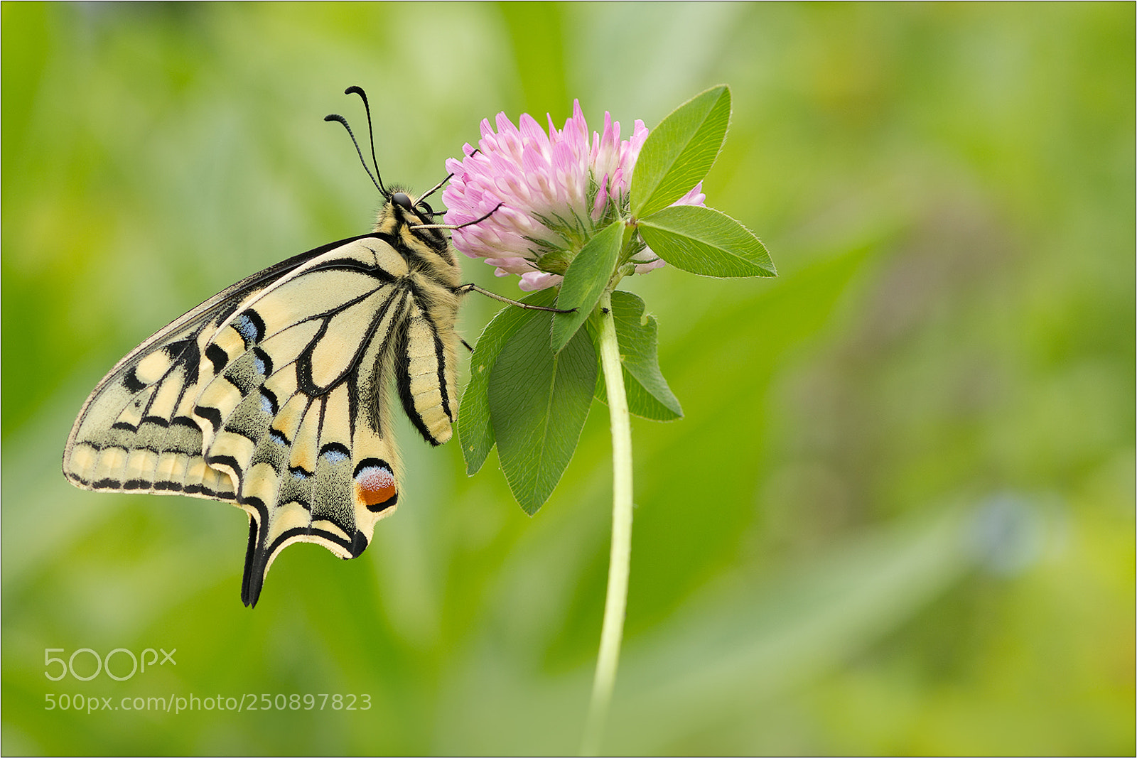 Nikon D7200 sample photo. Remember last summer! photography