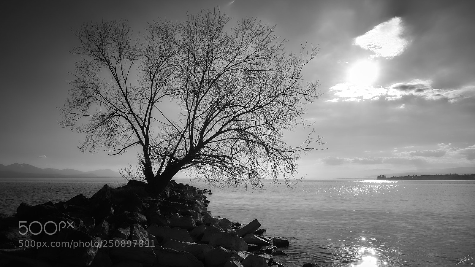 Sony Cyber-shot DSC-RX100 IV sample photo. The lake photography