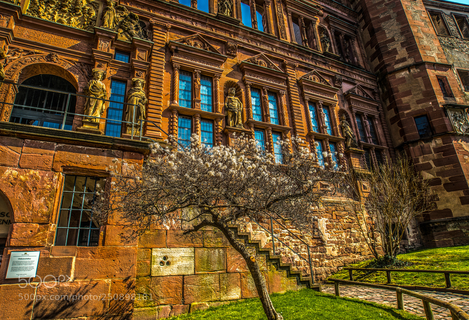 Nikon D800 sample photo. Heidelberg castle - in photography