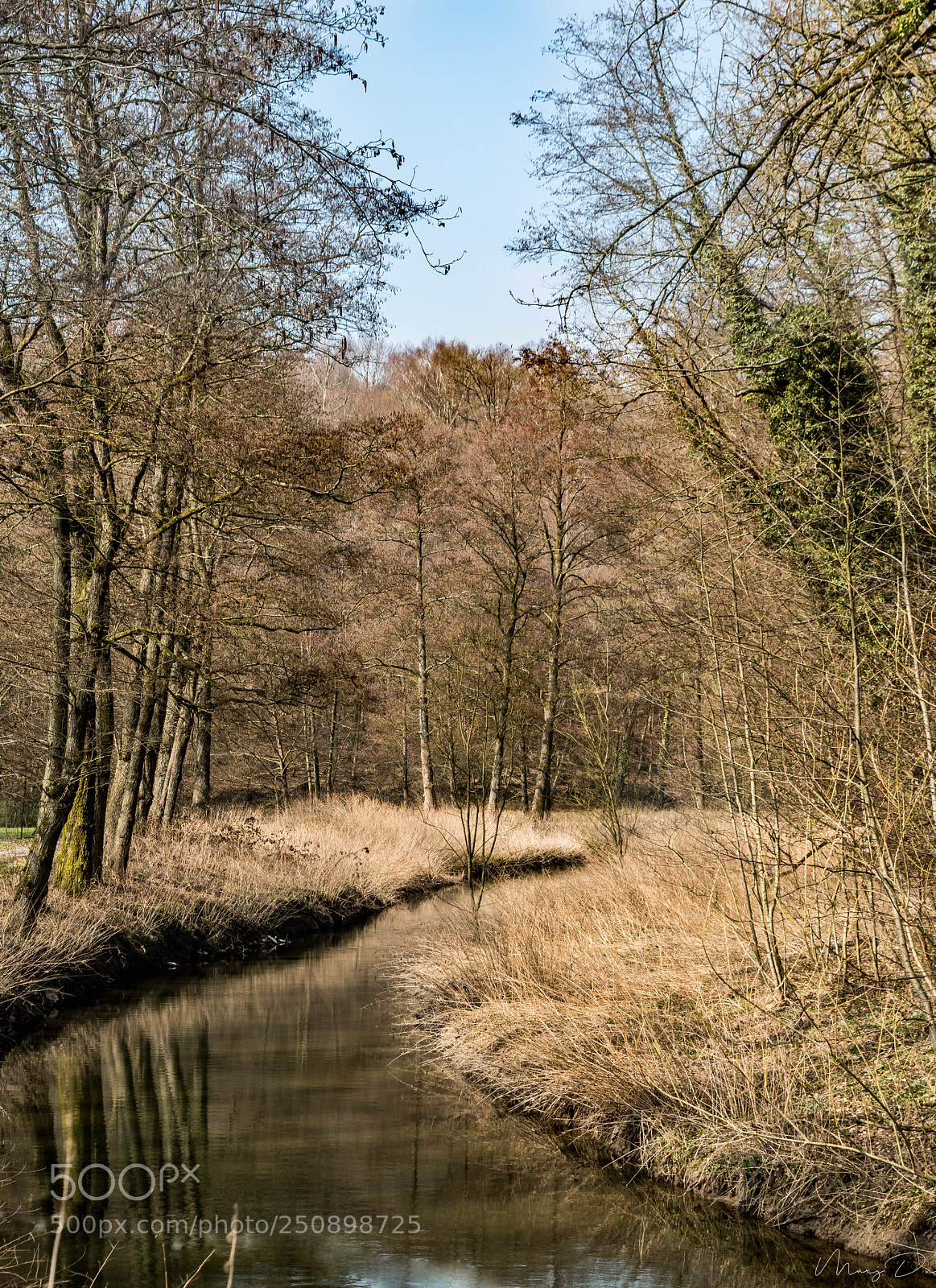 Nikon D5500 sample photo. La vall e de photography