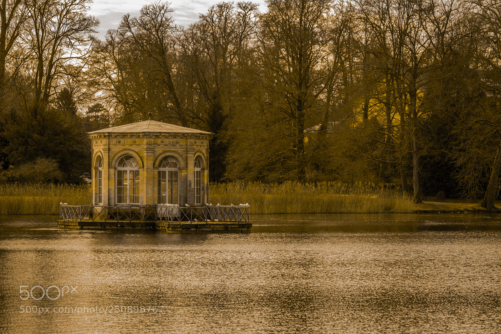 Canon EOS 700D (EOS Rebel T5i / EOS Kiss X7i) sample photo. House of lac photography