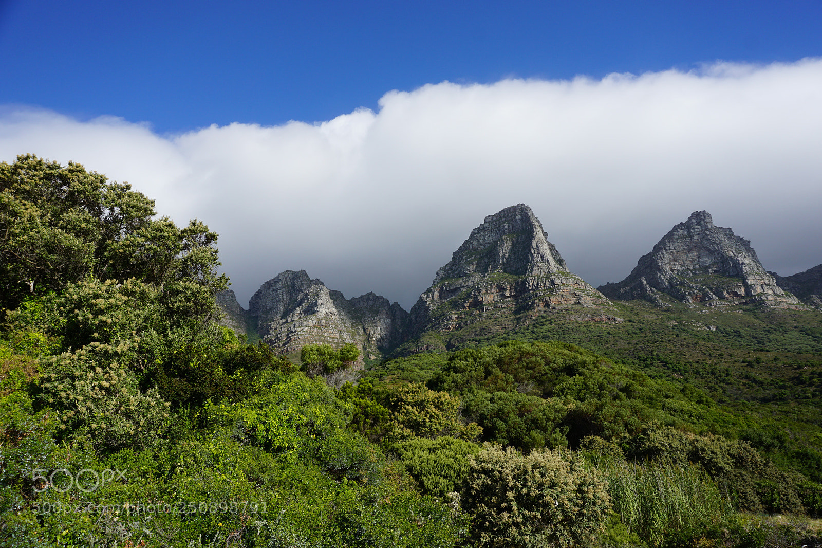 Sony a6000 sample photo. Green mountains near capetown photography